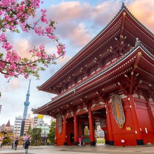 Cung Đường Vàng Nhật Bản – Hành Trình 5 Ngày 5 Đêm Từ Osaka Đến Tokyo