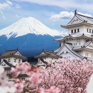 Tour Nhật Bản 5 ngày 4 đêm: HCM - Tokyo - Yamanashi - Núi Phú Sĩ